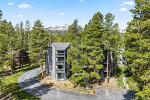 1127 Ski Hill Rd, Breckenridge, CO 80424 - Photo 6
