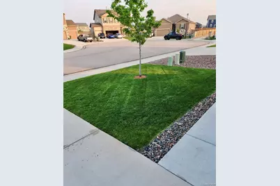 910 Pierson Court, Windsor, CO 80550 - Photo 2