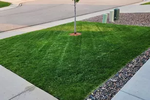 910 Pierson Ct, Windsor, CO 80550 - Photo 2