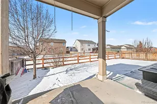 910 Pierson Ct, Windsor, CO 80550 - Photo 26