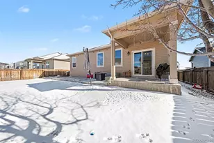 910 Pierson Ct, Windsor, CO 80550 - Photo 24