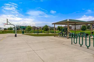 910 Pierson Ct, Windsor, CO 80550 - Photo 36