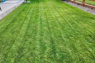 910 Pierson Ct, Windsor, CO 80550 - Photo 32