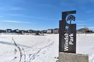 910 Pierson Ct, Windsor, CO 80550 - Photo 34