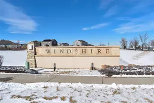 910 Pierson Ct, Windsor, CO 80550 - Photo 34