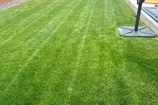 910 Pierson Ct, Windsor, CO 80550 - Photo 30