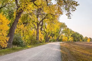 5690 S Beech Cir, Greenwood Village, CO 80121 - Photo 34