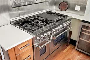 605 N Race St, Denver, CO 80206 - Photo 12