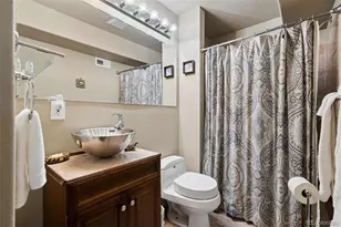 221 Juniper Ln, Bailey, CO 80421 - Photo 10