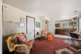 221 Juniper Ln, Bailey, CO 80421 - Photo 20