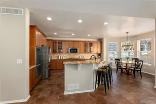 10820 Montvale Cir, Highlands Ranch, CO 80130 - Photo 8
