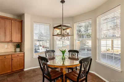 10820 Montvale Circle, Highlands Ranch, CO 80130 - Photo 12