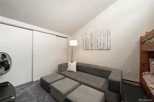 62 Co Rd 838, Fraser, CO 80442 - Photo 12