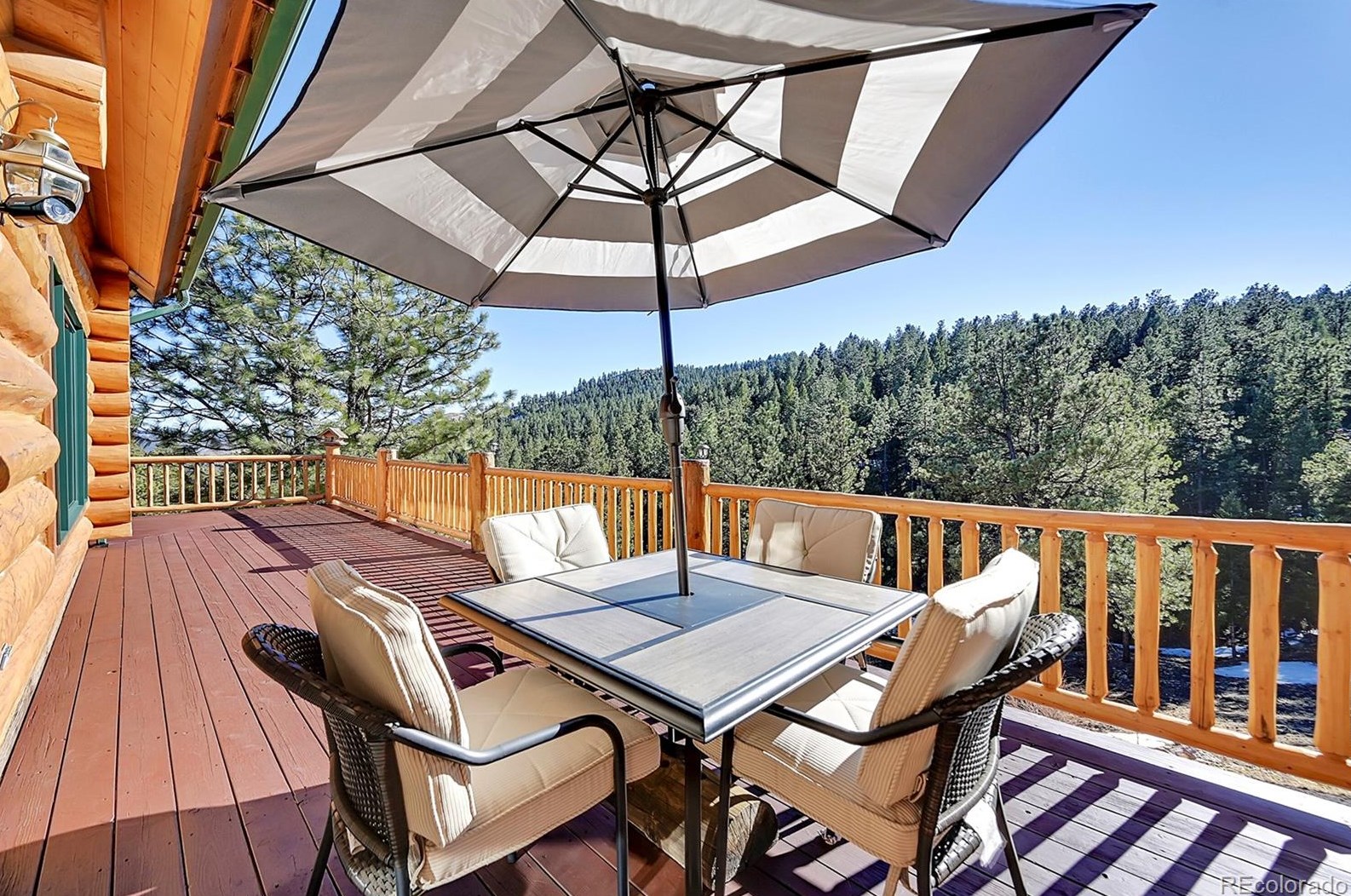 256 Blueberry Trl, Bailey, CO 80421-2101