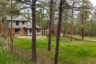 4719 Beaver-Ridge, Elbert, CO 80106 - Photo 38