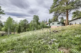 11662 S Juniper Rd, Pine, CO 80470 - Photo 26