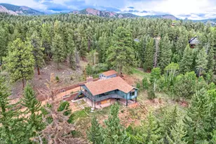 11662 S Juniper Rd, Pine, CO 80470 - Photo 30