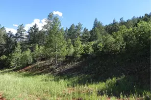 8117 Acoma Dr, Larkspur, CO 80118 - Photo 1