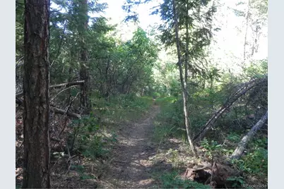 8117 Acoma Drive, Larkspur, CO 80118 - Photo 14