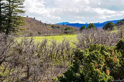Tbd Rilling Canyon, La Veta, CO 81055 - Photo 32