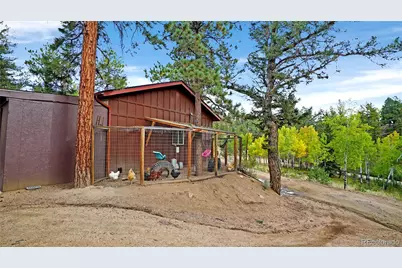 67 Holdup Street, Bailey, CO 80421 - Photo 42