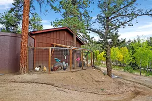 67 Hold Up St, Bailey, CO 80421 - Photo 42