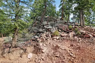 67 Hold Up St, Bailey, CO 80421 - Photo 28