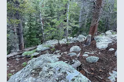 111 Lake Road, Idaho Springs, CO 80452 - Photo 2