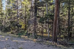 3067 Forbes Park Loop, Fort Garland, CO 81133 - Photo 1