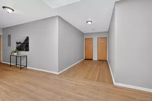 1101 Bellaire St, Denver, CO 80220 - Photo 4