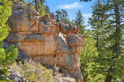 30851 Pike View Drive, Conifer, CO 80433 - Photo 26