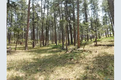 8356 Quivas Road, Larkspur, CO 80118 - Photo 40