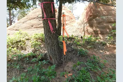 8356 Quivas Road, Larkspur, CO 80118 - Photo 20