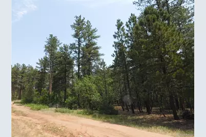 8356 Quivas Road, Larkspur, CO 80118 - Photo 8