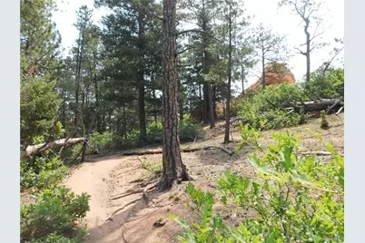 8356 Quivas Road, Larkspur, CO 80118 - Photo 10