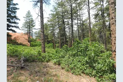 8356 Quivas Road, Larkspur, CO 80118 - Photo 1