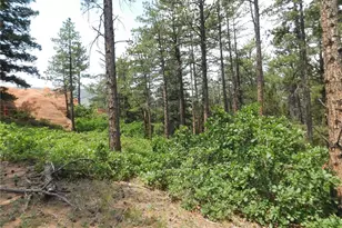 8356 Quivas Rd, Larkspur, CO 80118 - Photo 1