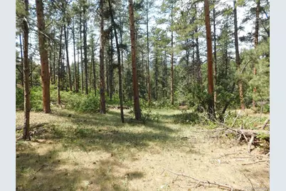 8356 Quivas Road, Larkspur, CO 80118 - Photo 38