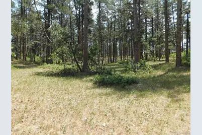 8356 Quivas Road, Larkspur, CO 80118 - Photo 42
