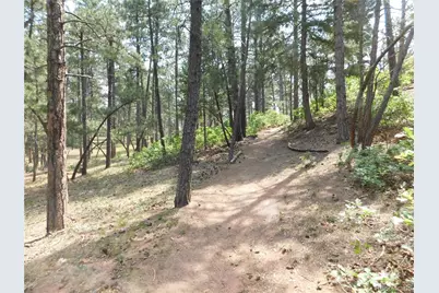 8356 Quivas Road, Larkspur, CO 80118 - Photo 12