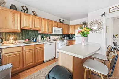 1243 N Marion Street, Denver, CO 80218 - Photo 28