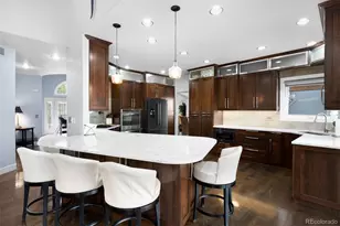 1193 Phipps Ct, Highlands Ranch, CO 80126 - Photo 8