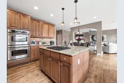 204 Crosshaven Place, Castle Rock, CO 80104 - Photo 6