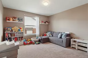 204 Crosshaven Pl, Castle Rock, CO 80104 - Photo 24