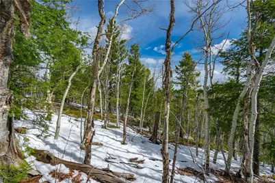 224 Deadwood Road, Cripple Creek, CO 80813 - Photo 8