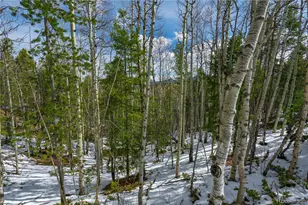 224 Deadwood Rd, Cripple Creek, CO 80813 - Photo 1