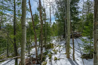 224 Deadwood Road, Cripple Creek, CO 80813 - Photo 10