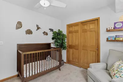 10972 Milliken Avenue, Conifer, CO 80433 - Photo 18