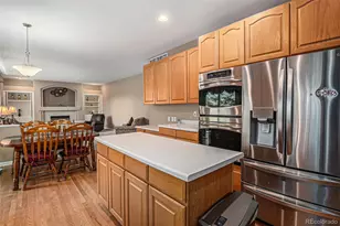 5569 S Helena St, Centennial, CO 80015 - Photo 22