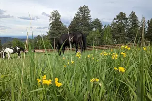 8537 S Doubleheader Ranch Rd, Morrison, CO 80465 - Photo 46